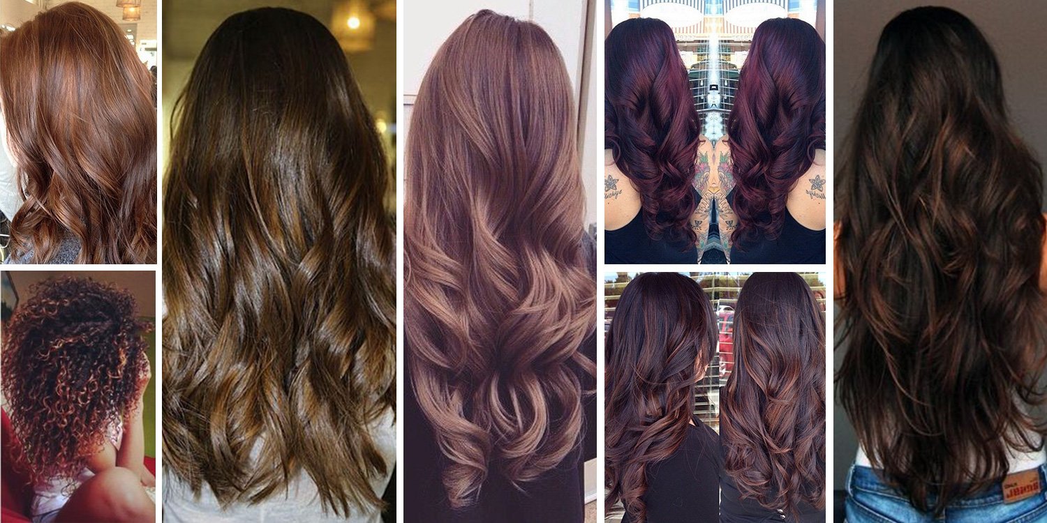 Brown Hair Color, Shop a range of Brunette Shades